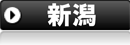 新潟県